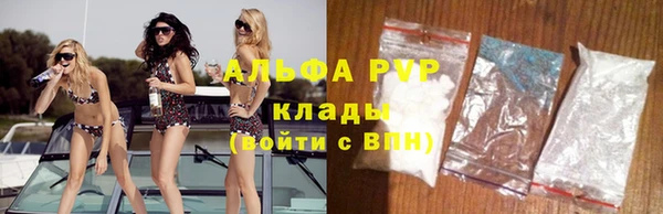 гашик Коряжма