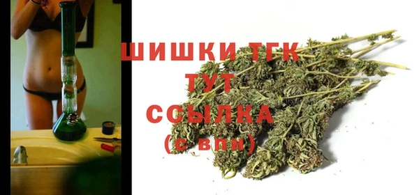 индика Инсар