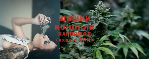 прущие крисы Корсаков