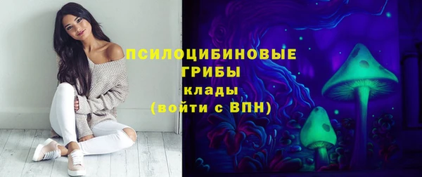 гашик Коряжма