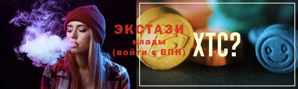 индика Козловка