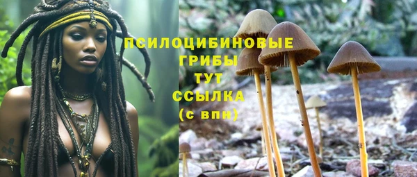 гашик Коряжма