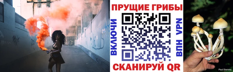 Галлюциногенные грибы прущие грибы гидра как зайти Красавино закладки